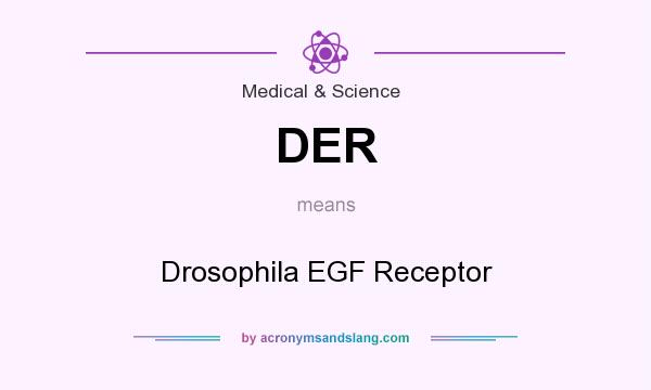 What does DER mean? It stands for Drosophila EGF Receptor