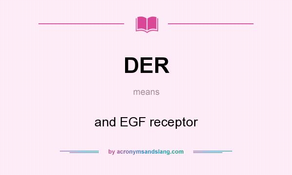 What does DER mean? It stands for and EGF receptor