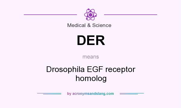 What does DER mean? It stands for Drosophila EGF receptor homolog