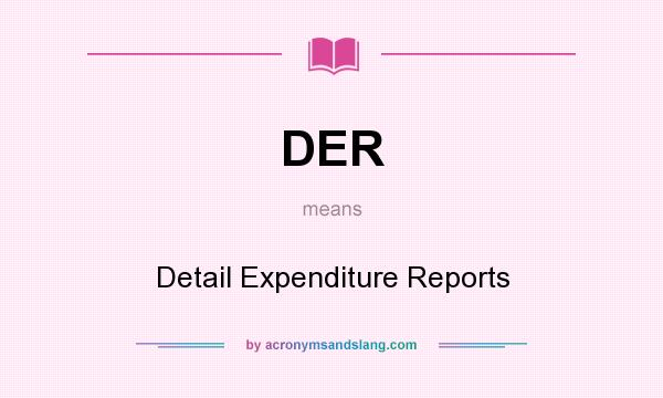 What does DER mean? It stands for Detail Expenditure Reports