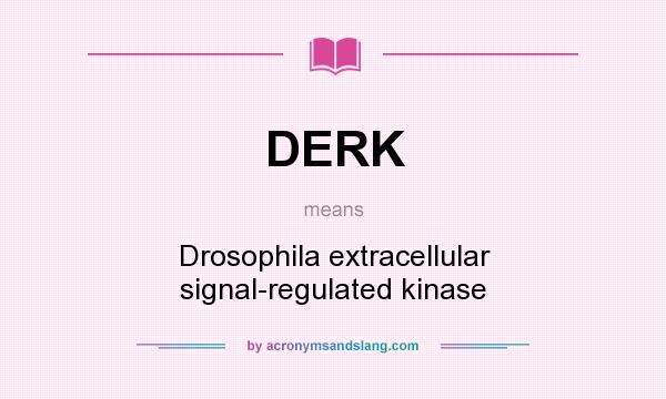 What does DERK mean? It stands for Drosophila extracellular signal-regulated kinase