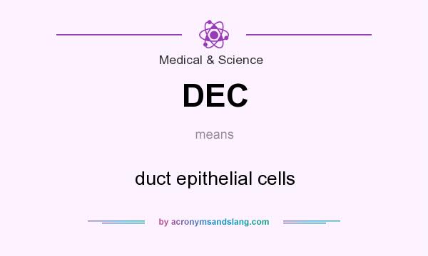 What does DEC mean? It stands for duct epithelial cells