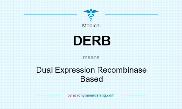 What does DERB mean? It stands for Dual Expression Recombinase Based