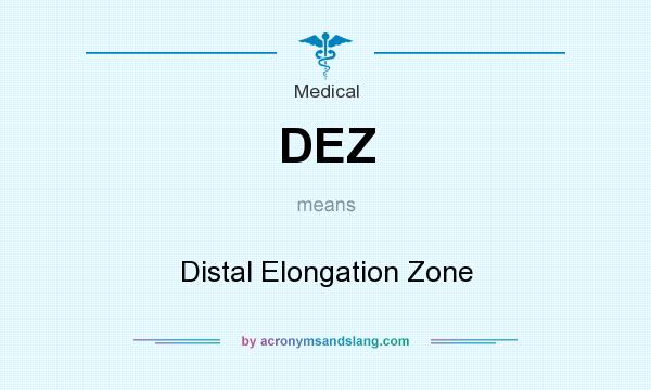What does DEZ mean? It stands for Distal Elongation Zone