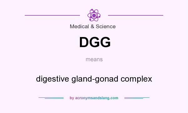 What does DGG mean? It stands for digestive gland-gonad complex