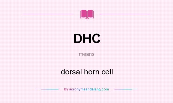 What does DHC mean? It stands for dorsal horn cell