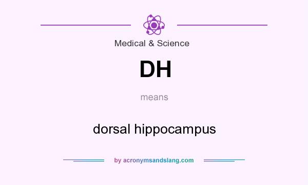 What does DH mean? It stands for dorsal hippocampus