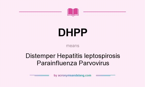 What does DHPP mean? It stands for Distemper Hepatitis leptospirosis Parainfluenza Parvovirus
