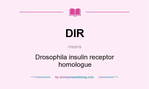 What does DIR mean? It stands for Drosophila insulin receptor homologue