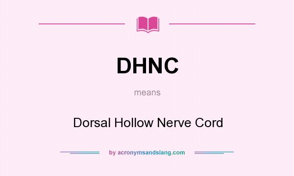 What does DHNC mean? It stands for Dorsal Hollow Nerve Cord