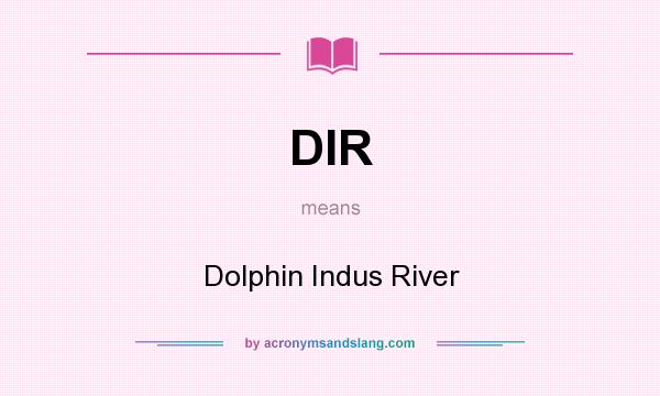 What does DIR mean? It stands for Dolphin Indus River
