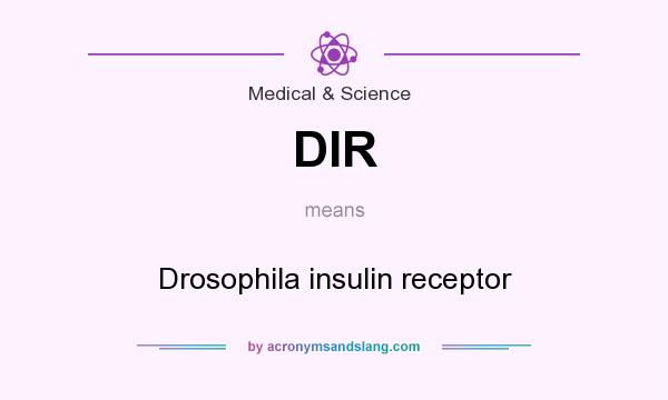 What does DIR mean? It stands for Drosophila insulin receptor