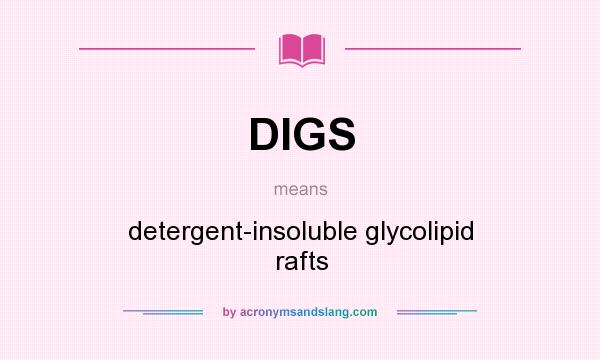 What does DIGS mean? It stands for detergent-insoluble glycolipid rafts