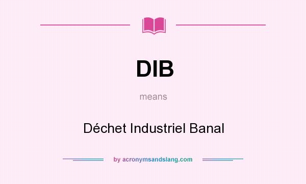 What does DIB mean? It stands for Déchet Industriel Banal