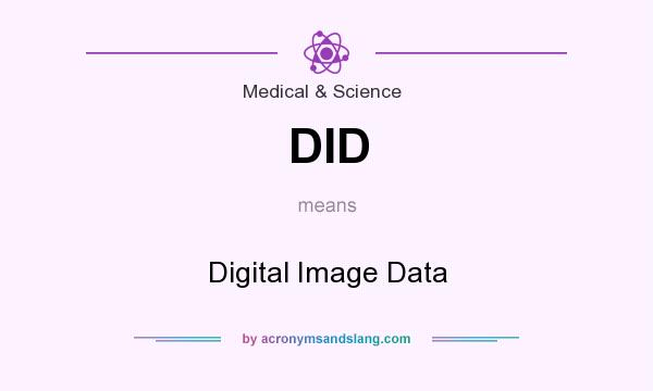 What does DID mean? It stands for Digital Image Data