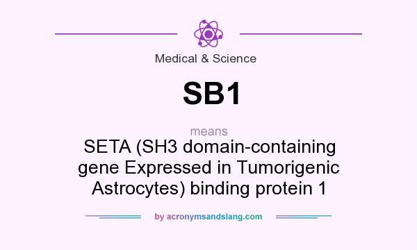 What does SB1 mean? It stands for SETA (SH3 domain-containing gene Expressed in Tumorigenic Astrocytes) binding protein 1