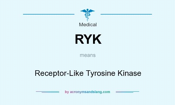 What does RYK mean? It stands for Receptor-Like Tyrosine Kinase
