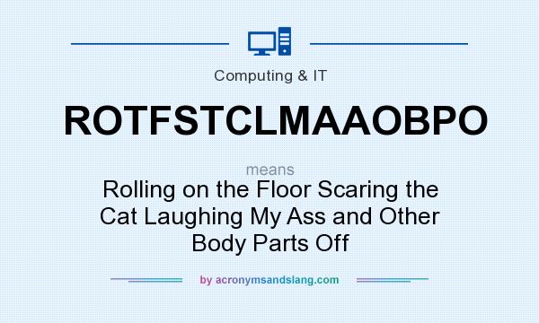 What does ROTFSTCLMAAOBPO mean? It stands for Rolling on the Floor Scaring the Cat Laughing My Ass and Other Body Parts Off
