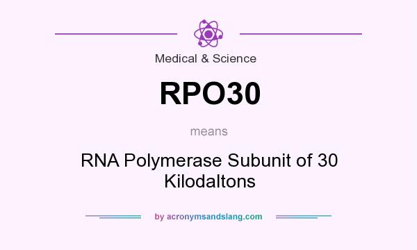 What does RPO30 mean? It stands for RNA Polymerase Subunit of 30 Kilodaltons