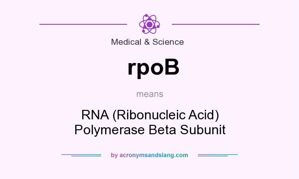 What does rpoB mean? It stands for RNA (Ribonucleic Acid) Polymerase Beta Subunit
