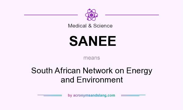 What does SANEE mean? It stands for South African Network on Energy and Environment