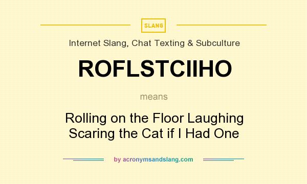 What does ROFLSTCIIHO mean? It stands for Rolling on the Floor Laughing Scaring the Cat if I Had One