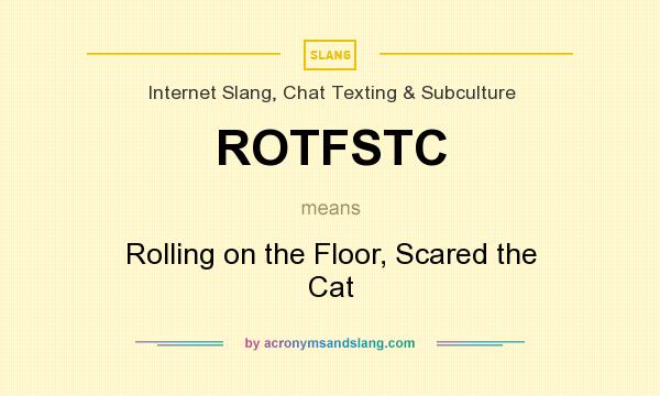 What does ROTFSTC mean? It stands for Rolling on the Floor, Scared the Cat