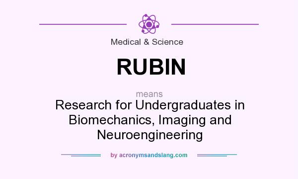 What does RUBIN mean? It stands for Research for Undergraduates in Biomechanics, Imaging and Neuroengineering