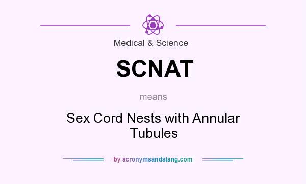 What does SCNAT mean? It stands for Sex Cord Nests with Annular Tubules