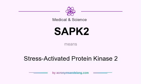 What does SAPK2 mean? It stands for Stress-Activated Protein Kinase 2