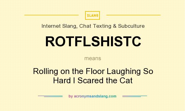 What does ROTFLSHISTC mean? It stands for Rolling on the Floor Laughing So Hard I Scared the Cat