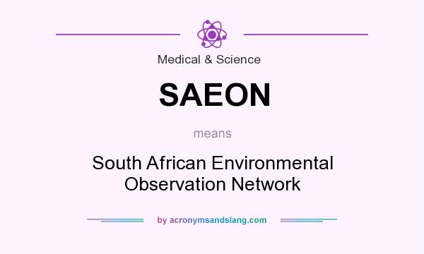 What does SAEON mean? It stands for South African Environmental Observation Network
