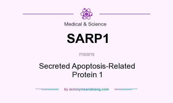 What does SARP1 mean? It stands for Secreted Apoptosis-Related Protein 1