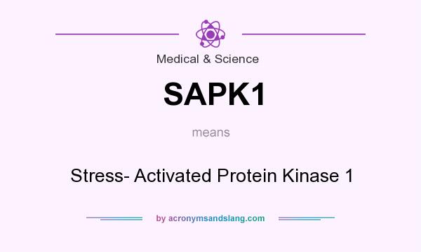 What does SAPK1 mean? It stands for Stress- Activated Protein Kinase 1
