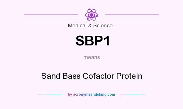 What does SBP1 mean? It stands for Sand Bass Cofactor Protein