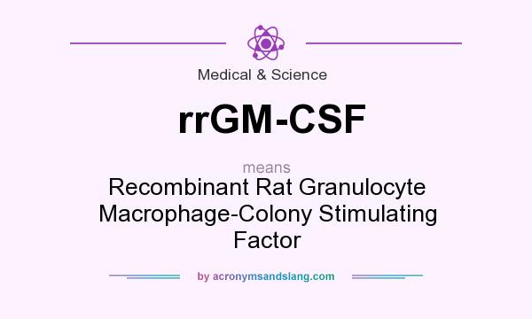 What does rrGM-CSF mean? It stands for Recombinant Rat Granulocyte Macrophage-Colony Stimulating Factor