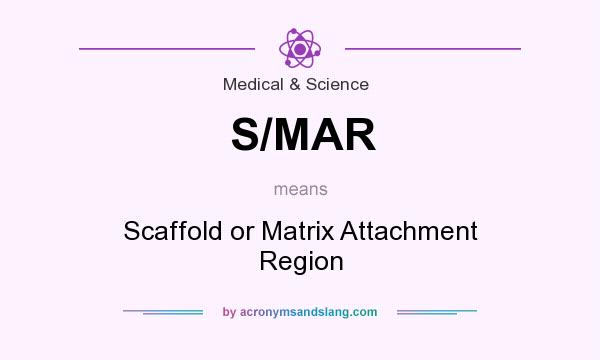 What does S/MAR mean? It stands for Scaffold or Matrix Attachment Region