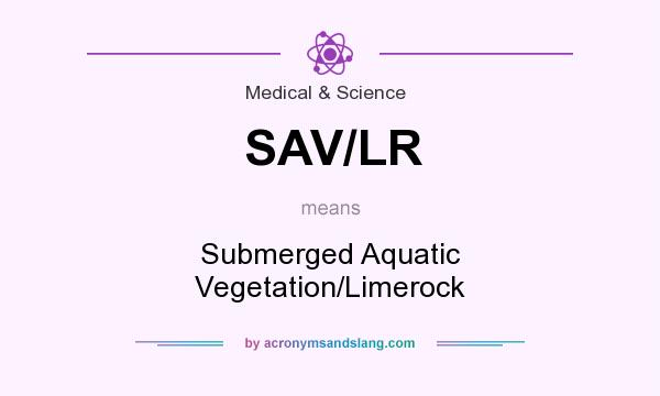 What does SAV/LR mean? It stands for Submerged Aquatic Vegetation/Limerock