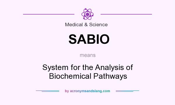 What does SABIO mean? It stands for System for the Analysis of Biochemical Pathways