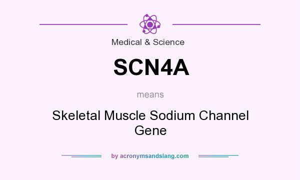 What does SCN4A mean? It stands for Skeletal Muscle Sodium Channel Gene