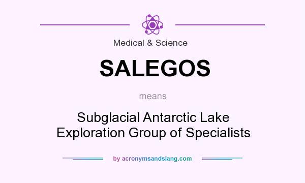 What does SALEGOS mean? It stands for Subglacial Antarctic Lake Exploration Group of Specialists