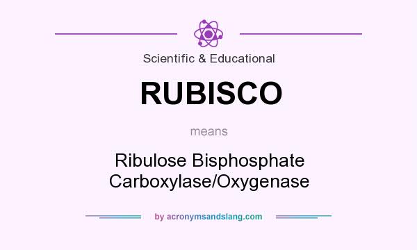 What does RUBISCO mean? It stands for Ribulose Bisphosphate Carboxylase/Oxygenase