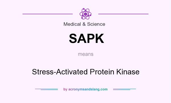 What does SAPK mean? It stands for Stress-Activated Protein Kinase