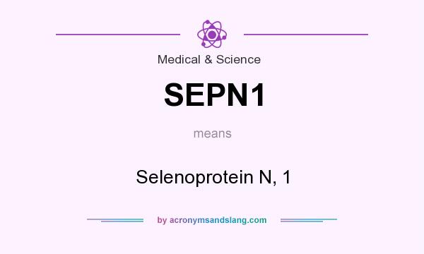 What does SEPN1 mean? It stands for Selenoprotein N, 1