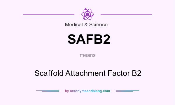 What does SAFB2 mean? It stands for Scaffold Attachment Factor B2