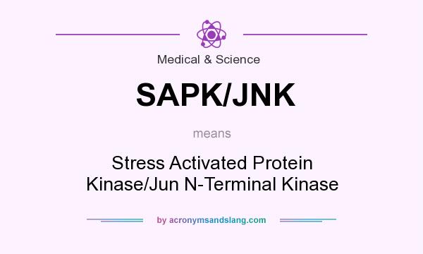 What does SAPK/JNK mean? It stands for Stress Activated Protein Kinase/Jun N-Terminal Kinase