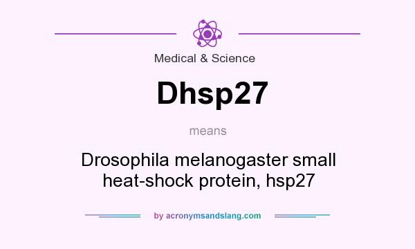 What does Dhsp27 mean? It stands for Drosophila melanogaster small heat-shock protein, hsp27