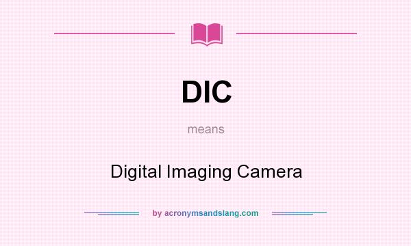 What does DIC mean? It stands for Digital Imaging Camera