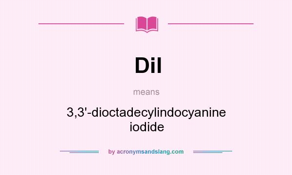 What does DiI mean? It stands for 3,3`-dioctadecylindocyanine iodide