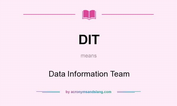 What does DIT mean? It stands for Data Information Team